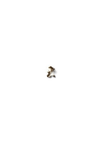 Coreli A-Type Thermic Plating (Eve Online Armor Coating) Coreli A-Type Thermic Plating (Eve Online Armor Coating)