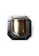 Anti-EM Screen Reinforcer I (LARGE Shield Rig)