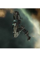 Imicus (Gallente Frigate Ship)